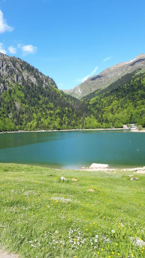 Appartement Spacieux Et Lumineux Oloron-Sainte-Marie Dış mekan fotoğraf